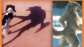 알고 보니 늑대인간 “합성인가? 아니라면 대박!”