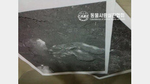 ‘악마 에쿠스’ 재수사 핵심… 최초 제보자에 달렸다