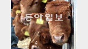 美 광우병 발생 “안일한 대처는 이제 그만!”