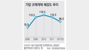 기업들 “규제개혁? 피부로 못느껴!”