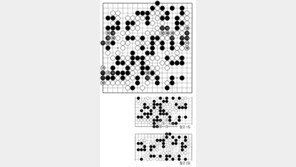 [바둑]제56기 국수전… 백의 착각
