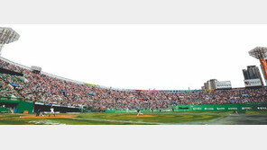 프로야구 10구단 창단 찬반 시끌… “NC 1군行-10구단은 필수” vs “부실땐 누가 책임질 건가”