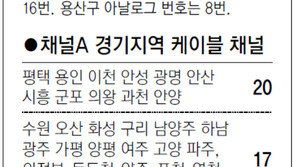 [수도권]채널A 서울지역 케이블 채널