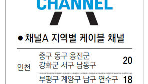 [인천/경기]채널A 지역별 케이블 채널