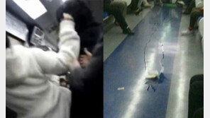 담배녀-막말녀 이어 ‘분당선 똥녀’…지하철녀 종결자는?