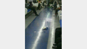 분당선 대변녀(똥녀), 추측 난무 “확실한 건 사진 한 장뿐”