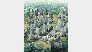 [Home&Dream]“호젓한 생활도 좋지만 출퇴근 만만찮네… 도심에서 살까?”