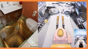 가장 무서운 화장실 “분당선 똥녀에게 소개를…”