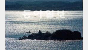 ‘무인도 사실 분 계세요’ 경매나온 무인도, 얼마?