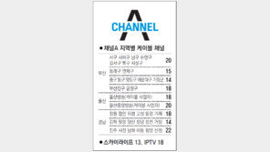 [부산/경남]채널A 지역별 케이블 채널