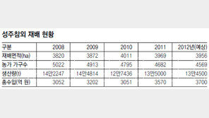 [대구/경북]성주참외, 日 수출길 활짝 열렸다