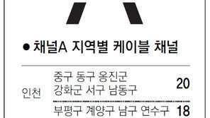 [인천/경기]채널A 지역별 케이블 채널