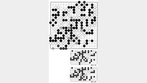 [바둑]제56기 국수전… 패로 갈린 승부 