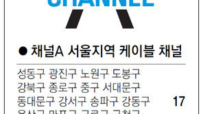 [수도권]채널A 서울지역 케이블 채널
