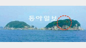 “인천 옹진군의 무인도 사실 분”… 내달 15일 경매 물건으로 나와