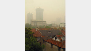 봄철 호흡기질환 ‘알레르기 비염’이 미치는 영향