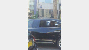 레이디가가 진재영 “두 패셔니 스타의 만남?”