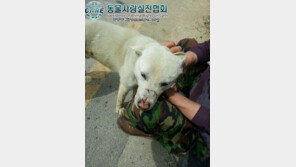 철근악마 검거, ‘악마 에쿠스’ 이어 충격…처벌 수위는?