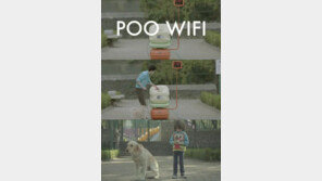 [영상] 개똥 와이파이 “개똥 치우면 인터넷 공짜”
