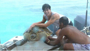 [채널A] 마르코, 72시간 로빈슨크루소 되다