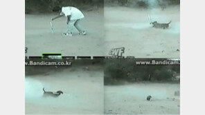 이거 놓고 가셨어요, “제목 짓기의 달인 나오셨네!”