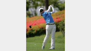 [콤팩트뉴스] 김효주, 퀸시리키트컵 6년 연속 우승 견인 外