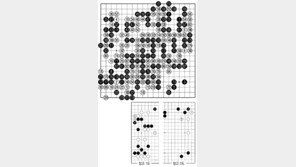 [바둑]제56기 국수전… 새내기의 선전 
