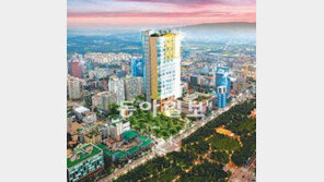 [분양 정보]인천 남동구 도시형주택 ‘아델라이’ 外