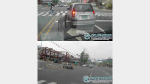 [영상] ‘악마 비스토’ 충격 “차에 개 매달고 질주”