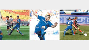 위험한 스테보! 동업자 정신 아느냐?