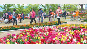 [부산/경남]유엔평화공원 봄꽃들의 향연