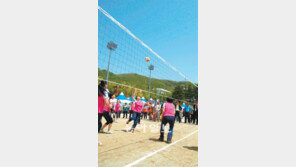 [대구/경북]주부배구 열리면… IT도시 구미가 ‘들썩’