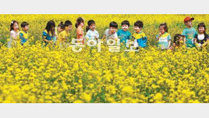 [인천/경기]봄꽃, 수도권 매립지를 뒤덮다