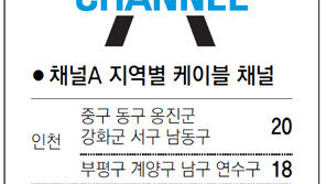 [인천/경기]채널A 지역별 케이블 채널