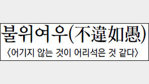 [한자로 읽는 고전]<22>불위여우(不違如愚)