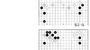 [바둑]제56기 국수전… 16, 18은 백의 취향 