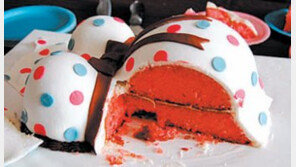 [지구촌 이모저모]美 임신부들 사이 아기 성별 공개 파티 유행