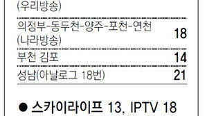 [수도권]채널A 서울지역 케이블 채널