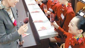 “선진 항공서비스 배우러 왔어요”