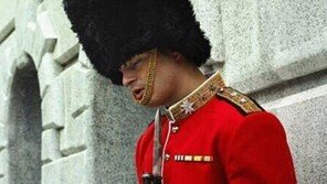 “목에 칼이 들어와도 잡니다” 목숨걸고 조는 중?