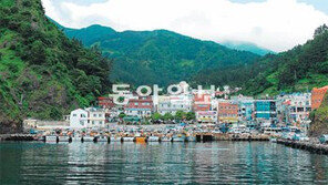 [대구/경북]“탄소 제로”… 울릉도 전기차 프로젝트