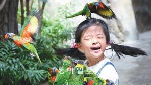 오색앵무도 봄맞이 나들이