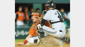 롯데 16안타 폭풍… 5월 ‘화끈한 신고’