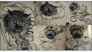 그만해 주인 놈아 “고양이 표정이 압권!”