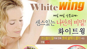 겨드랑이 패드 ‘화이트윙 플러스’ 인기