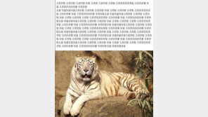 호랑이 슬픈 사연 “남자환승녀라도 만났나?”