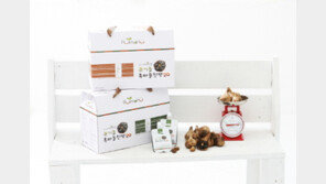 임신준비, ‘이것’ 통해 몸 건강부터 챙기세요