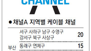 [부산/경남]채널A 지역별 케이블 채널