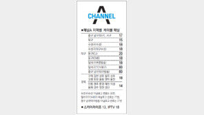 [대구/경북]채널A 지역별 케이블 채널