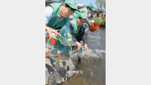 “미꾸라지야, 모기 유충을 부탁해”